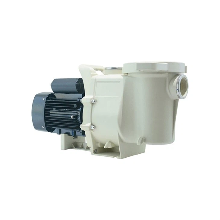 Simple Setup Swimming Pool Pumps