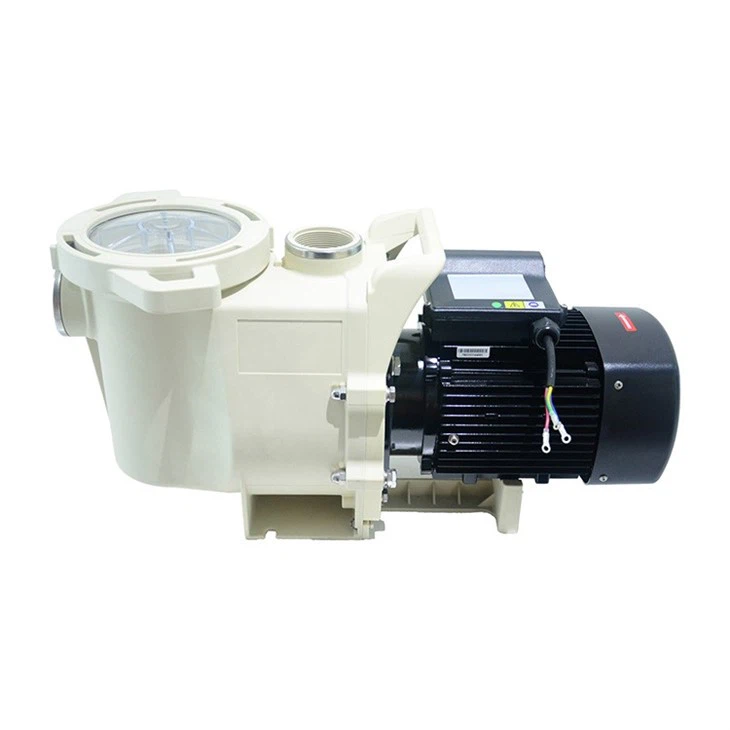 Simple Setup Swimming Pool Pumps